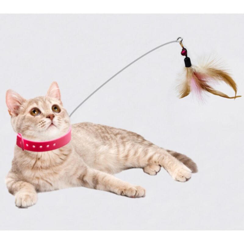 Παιχνίδι Γάτας Περιλαίμιο Με Φτερό 1 Παιχνίδι Γάτας Περιλαίμιο Με Φτερό